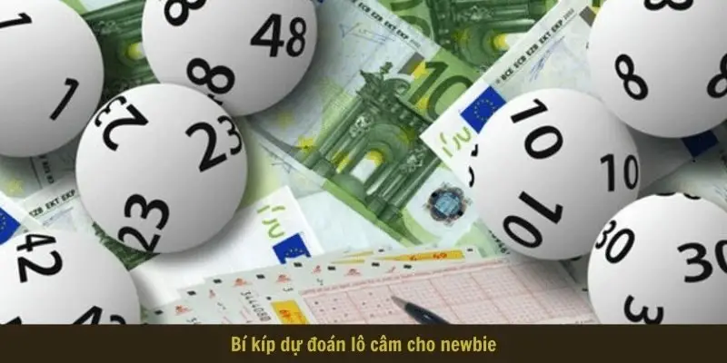 bi kip du doan lo cam cho newbie Bí kíp dự đoán lô câm cho newbie