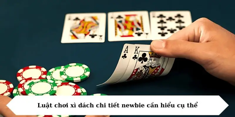 luat choi xi dach chi tiet newbie can hieu cu the Luật chơi xì dách chi tiết newbie cần hiểu cụ thể